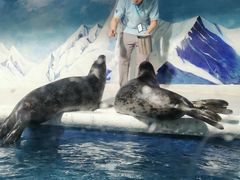 -成都浩海立方海洋公园