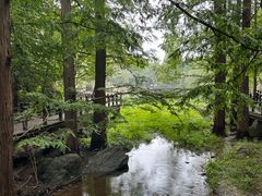 -国家植物园南园