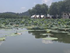 -东湖落雁景区