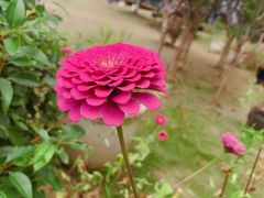 -陶祖圣境风景区