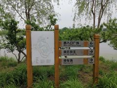 -东郊湿地公园