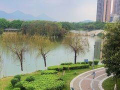 -飞来湖湿地公园