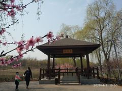 -大兴滨河森林公园