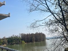 -东湖落雁景区