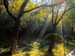 -南京市江宁方山
