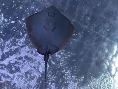 -南昌融创海世界
