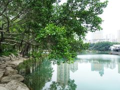 -江头公园