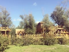 -武清南湖绿博园