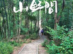 -上海佘山国家森林公园天马山园