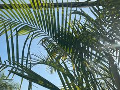 -DEEP COFFEE(瑞光烘焙工厂店)