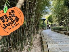 -九龙潭景区