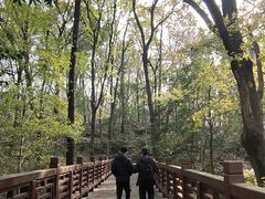 -紫金山天文台