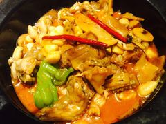 -云海肴·汽锅鸡·云南菜(天山百盛优客店)