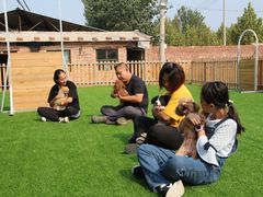 -北京京卫宠物寄养训练中心