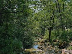 -玉渡山自然风景区