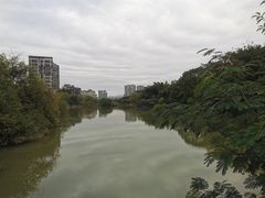 -金山公园