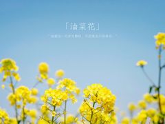 -西海岸生态观光园