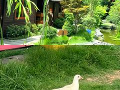 -耕渔小院·湖南鱼鲜(望城店)