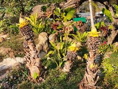 -李小龙乐园(顺德均安店)