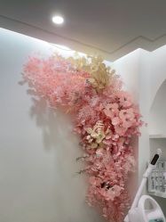 -苗方清颜痘肌研究所