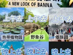 -西双版纳原始森林公园