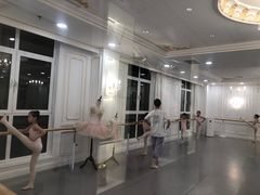 -芭蕾仙子 FairyBallet 少儿芭蕾舞蹈中心(丽都旗舰店)