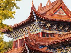 -皇罗禅寺