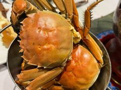 -河北宾馆·香溢自助餐(裕华店)