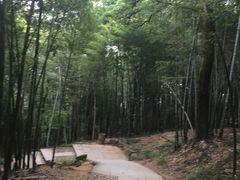 -西湖风景区十里琅珰-五云山