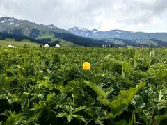 -新疆那拉提国家旅游度假区
