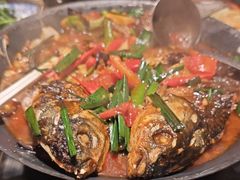 -金龙寨(解西店)