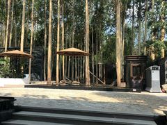-桉树林A coffee 森林餐厅(三圣乡店)