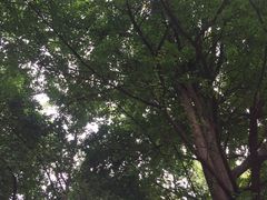 -云南师范大学(一二一西南联大校区)