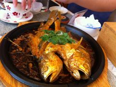 铁板黄花鱼-自由之丘