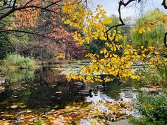 -北海道厅旧本厅舍(旧本庁舎)