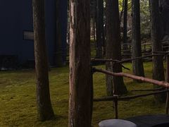 -玉苍山国家森林公园