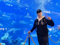 -成都浩海立方海洋公园