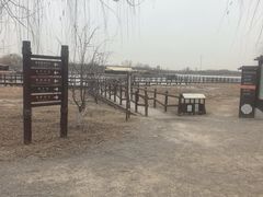 -西青郊野公园