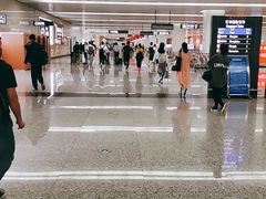 -石家庄正定国际机场-T2航站楼