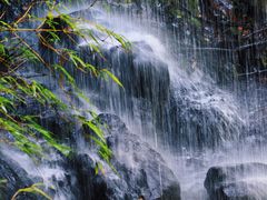 -龙苍沟森林公园
