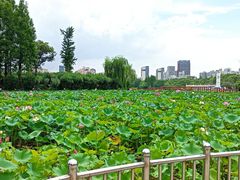 -黄兴公园