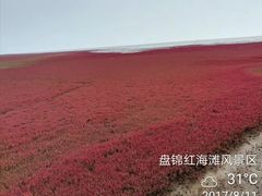 -红海滩国家风景廊道