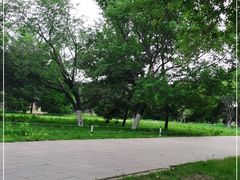 -北陵公园