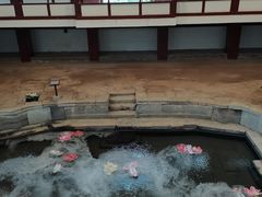 -华清宫景区
