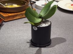 -澜小宴·胶东海鲜烟台味(时光塔店)
