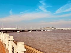 -上海吴淞炮台湾国家湿地公园