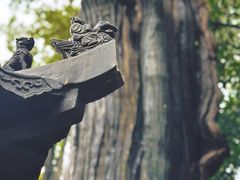 -青岛崂山太清宫