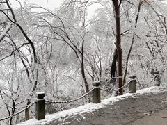 -紫金山山顶公园