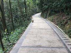 -黔灵山公园