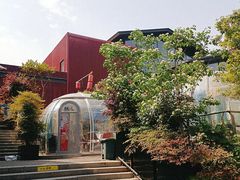 -唐猫庭院·千年陕菜(大唐不夜城店)